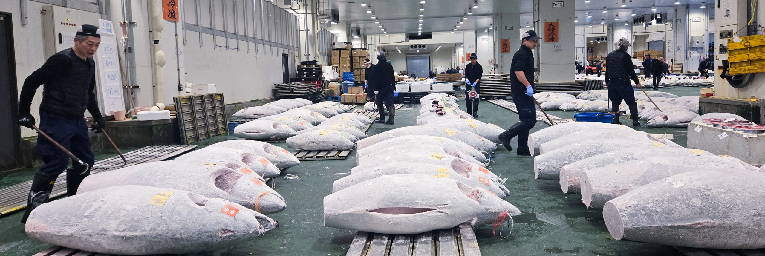 page_ttl__bg js-zoomTarget