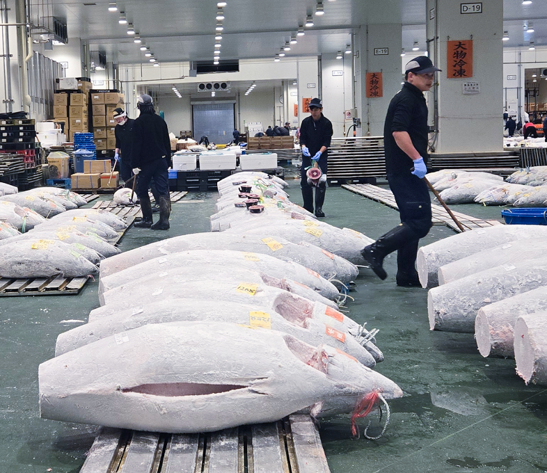 page_ttl__bg js-zoomTarget